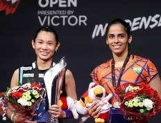 开云体育平台APP-印尼队横扫丹麦队，戴资颖关键制胜的简单介绍