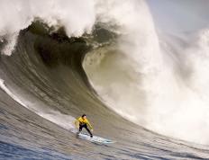 开云体育中国-陨落王朝与北非黎明，当突尼斯在西决生死战碾碎阿根廷最后的骄傲