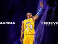 开云体育官网-非典型王牌武切维奇，当掘金的引擎切换，他如何用全能艺术杀死比赛？