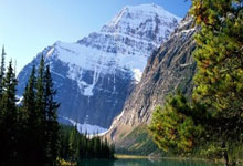 开云APP-瓦伦西亚遗憾告别，欧冠之路止步