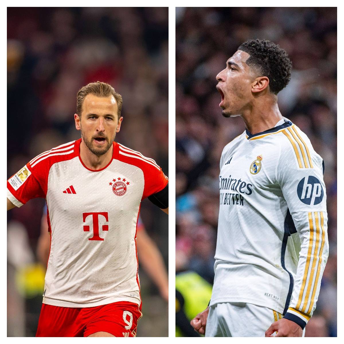 开云APP-欧洲联赛明星球员风头正劲，人气指数飙升的简单介绍