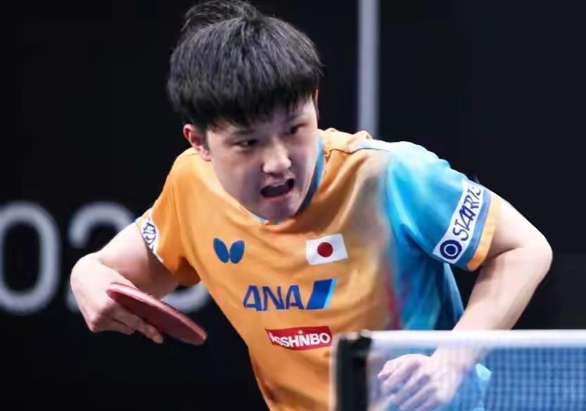 开云APP-德国队轻取日本队，张本智和高光表现的简单介绍